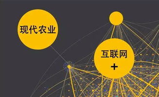 传统茶业的改变与创新 以新零售模式融入现代消费